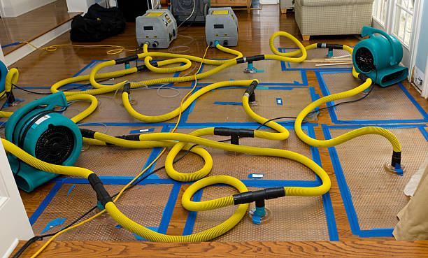 Professional Sewage Cleanup technician working in Seven Springs, NC