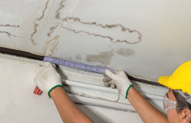 Affordable Water Damage Repair solutions in Seven Springs, NC
